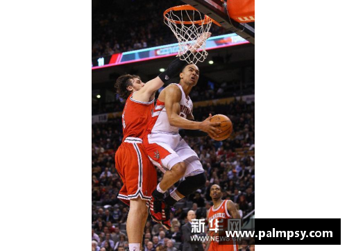 JN江南体育NBA常规赛_雄鹿胜猛龙